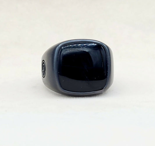    David Yurman Black Onyx Titatium Exotic Stone Signet Ring